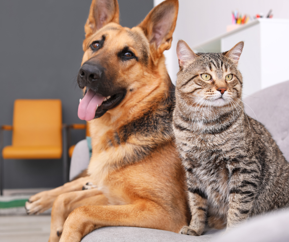 Andover will and trust lawyer